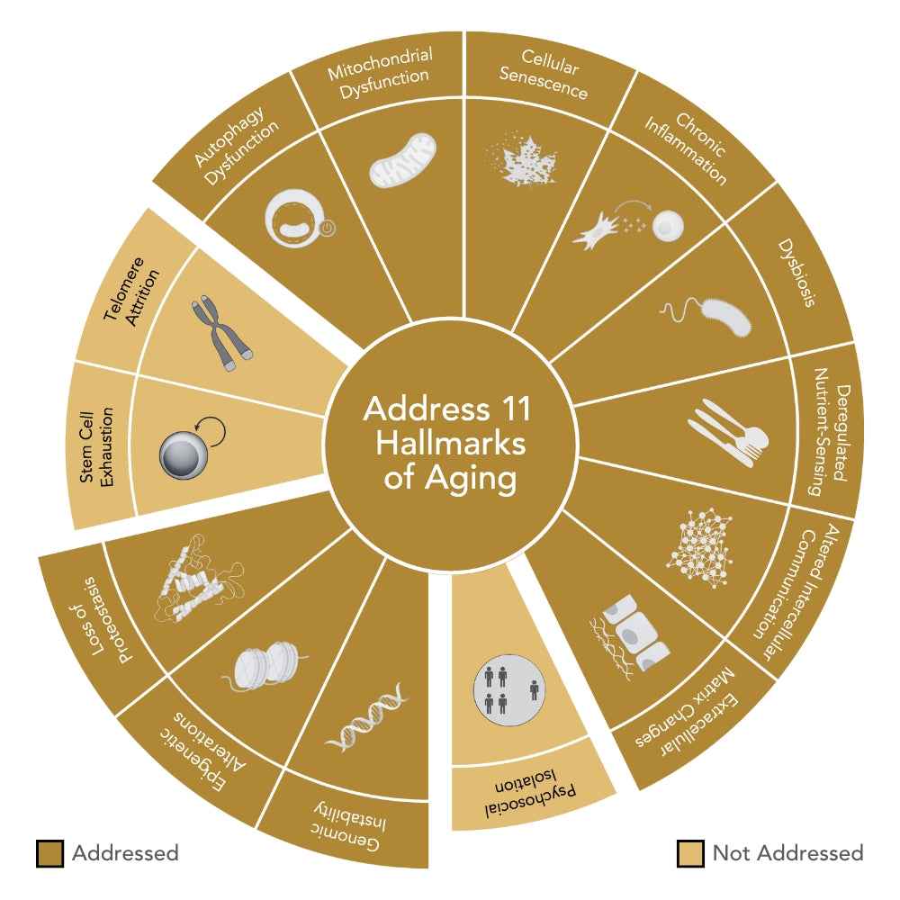 Niance Epigen9 Rejuvenating Mask