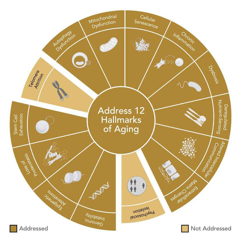 Niance Epigen9 Rejuvenating Serum