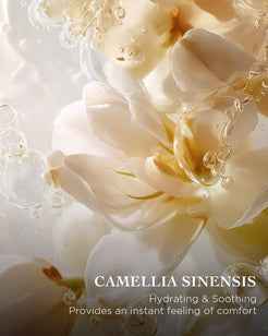 EviDenS de Beauté - THE CLEANSING FOAMING GEL