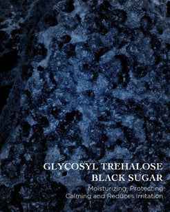 EviDenS de Beauté - THE NEW RICH CREAM